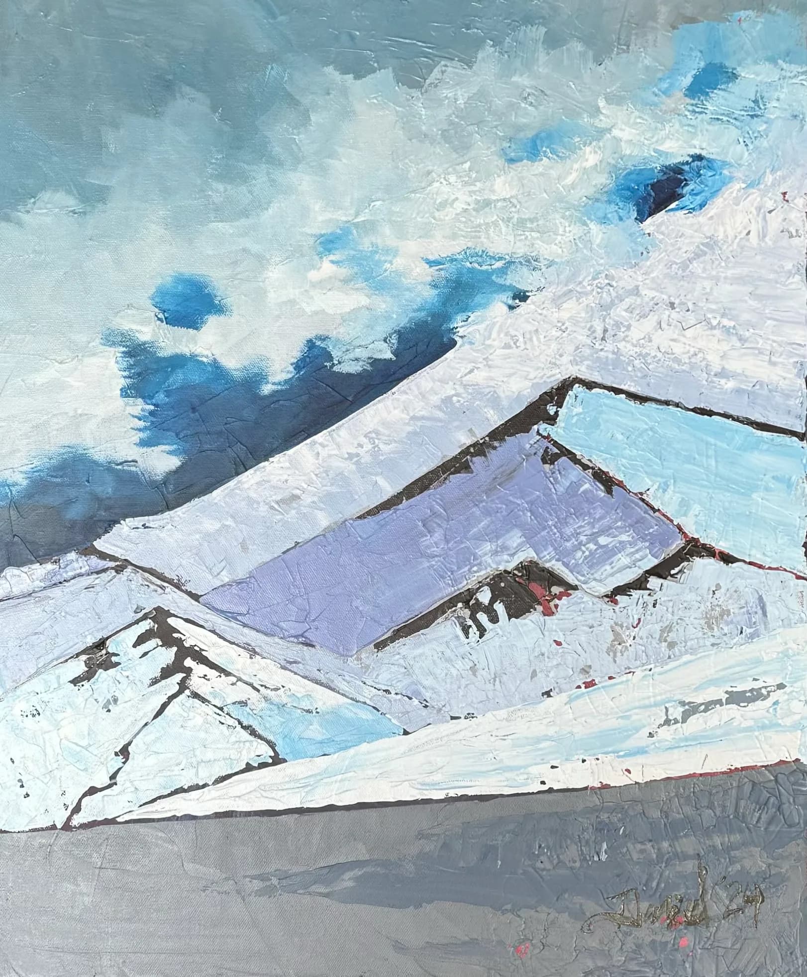 “Planos de la Araucanía” 60x50cm